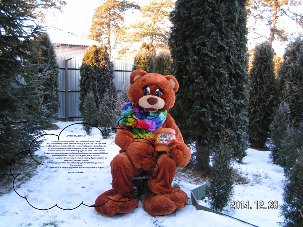 Поздравления с Новым 2015 годом! Поздравления